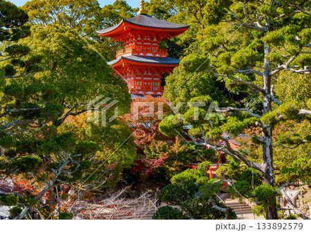 秋の神戸・須磨寺の三重塔 秋の神戸・須磨寺の三重塔 133892579
