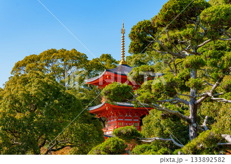 秋の神戸・須磨寺の三重塔 133892582