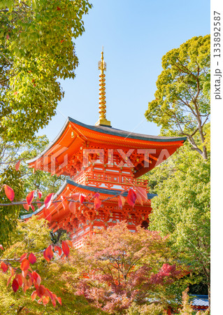 秋の神戸・須磨寺の三重塔 秋の神戸・須磨寺の三重塔 133892587