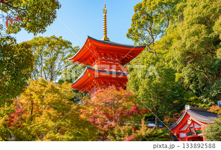 秋の神戸・須磨寺の三重塔 133892588