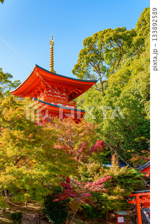 秋の神戸・須磨寺の三重塔 秋の神戸・須磨寺の三重塔 133892589
