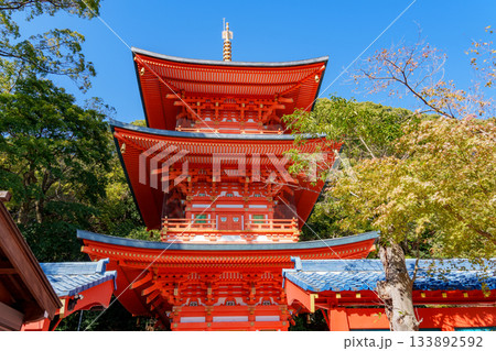 秋の神戸・須磨寺の三重塔 133892592