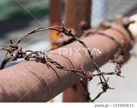 有刺鉄線 133892613