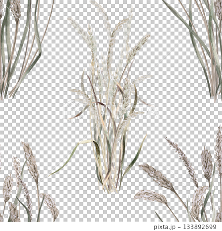 A seamless pattern with bunches of long steppe grasses. Watercolor illustration for packaging design, flower shop decor, eco-projects, travel agency websites, and corporate identity. A seamless pattern with bunches of long steppe grasses. Watercolor illustration for packaging design, flower shop decor, eco-projects, travel agency websites, and corporate identity. 133892699