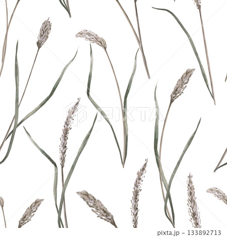 A seamless pattern with long steppe grasses. Watercolor illustration for packaging design, flower shop decor, eco-projects, travel agency websites, and corporate identity. 133892713