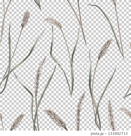 A seamless pattern with long steppe grasses. Watercolor illustration for packaging design, flower shop decor, eco-projects, travel agency websites, and corporate identity. 133892713