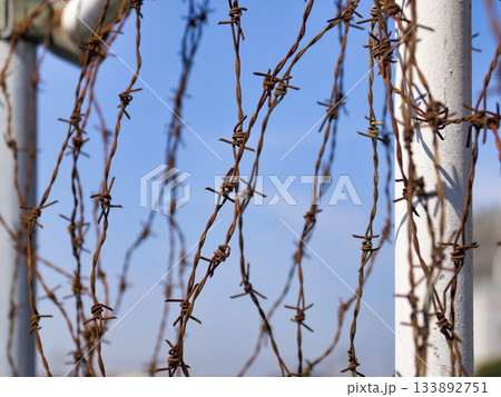 有刺鉄線 133892751