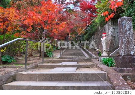 秋の鎌倉 石段と紅葉とお地蔵様 建長寺 秋の鎌倉 石段と紅葉とお地蔵様 建長寺 133892839