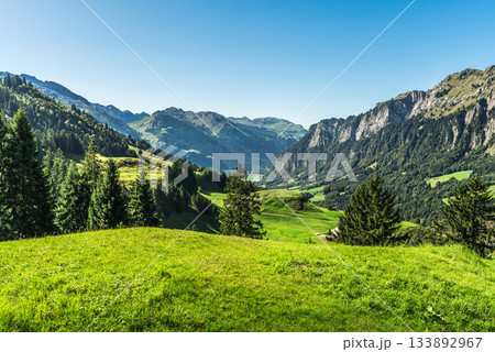Scenic mountain landscape in the Swiss Alps, Muotathal, Canton of Schwyz, Switzerland 133892967