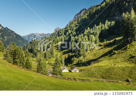 Idyllic alpine valley with huts, Muotathal, Canton of Schwyz, Switzerland. 133892975