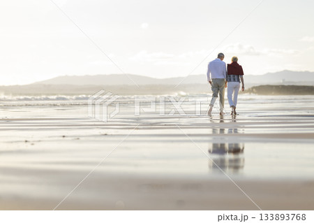 Senior couple walking barefoot on beach at sunset 133893768