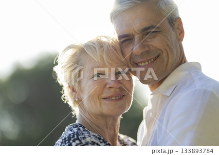 Senior couple smiling embracing with happiness outdoors 133893784