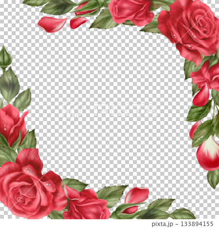 Red roses with drops,buds and leaves in a square frame in realistic style in watercolor technique as a symbol of love,passion,desire.Hand-drawn illustration for cards Valentines Day,Womans day 133894155