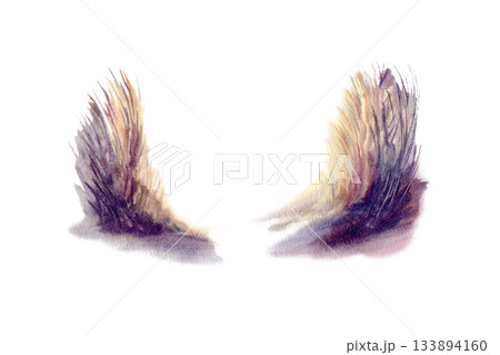 Pampas grass in golden and purple sunset tones,as two contrasting corner elements.Painted with delicate watercolor textures,soft gradients,botanical set for coastal branding,elegant sunset landscape 133894160