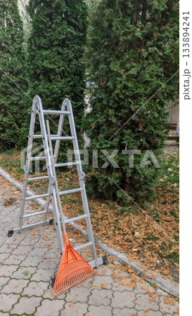 residential backyard setting during late autumn with cleaning tools and scattered leaves everywhere 133894241