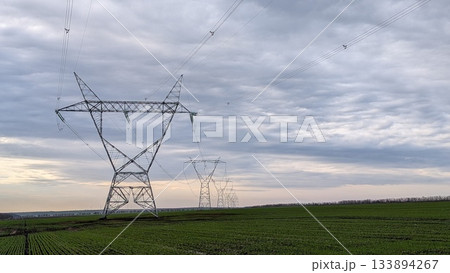 distant transmission towers establish striking perspective lines over lush plain and cloudy sky distant transmission towers establish striking perspective lines over lush plain and cloudy sky 133894267