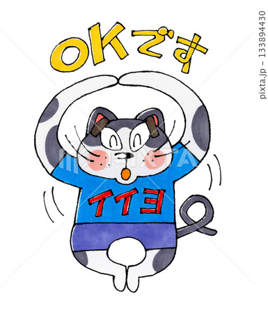 OKする猫のキャラクター OKする猫のキャラクター 133894430