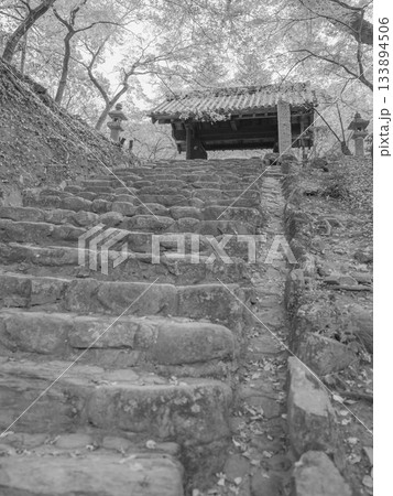 モノクロ、秋の終わり、秋月城跡、黒門に続く石段 133894506