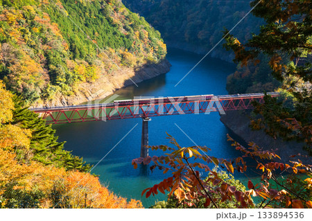 紅葉の奥大井湖上駅 133894536