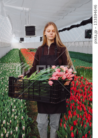 Enthusiastic young woman displays fresh tulips in greenhouse setting, Cheerful woman owner showcases bright tulips for promotional images amid lush greenhouse environment Enthusiastic young woman displays fresh tulips in greenhouse setting, Cheerful woman owner showcases bright tulips for promotional images amid lush greenhouse environment 133894646