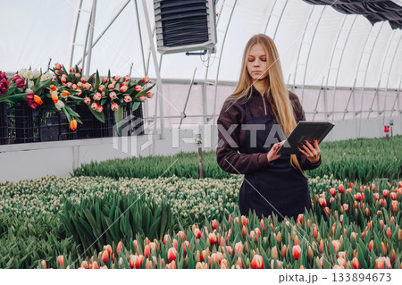 Young horticulturist inspecting flower beds, Caucasian florist carefully checks tulip health, Young flower specialist assesses condition and arrangement of blooming tulips meticulously Young horticulturist inspecting flower beds, Caucasian florist carefully checks tulip health, Young flower specialist assesses condition and arrangement of blooming tulips meticulously 133894673