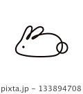 ウサギ線画　イラスト 133894708