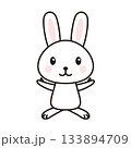 ウサギ　キャラクター　イラスト 133894709