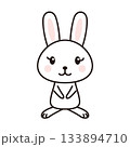 ウサギ　キャラクター　イラスト 133894710