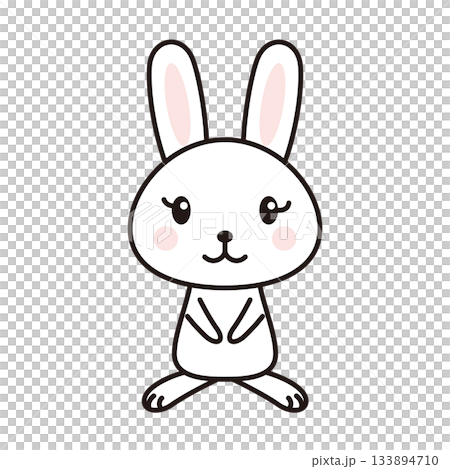 ウサギ　キャラクター　イラスト 133894710