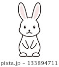 ウサギ　キャラクター　イラスト 133894711