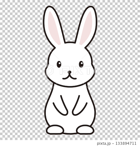 ウサギ　キャラクター　イラスト 133894711