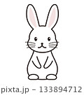 ウサギ　キャラクター　イラスト 133894712