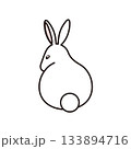 後ろ姿のうさぎ 133894716