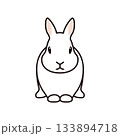 正面を向いたウサギ 133894718