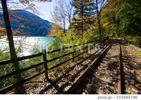 秋の大井川ダム湖廃線の小道	 133894796