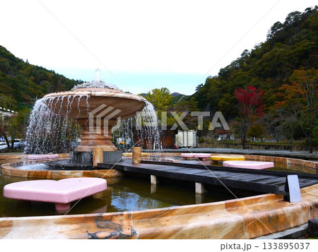 秋の紅葉に染まる噴水 133895037