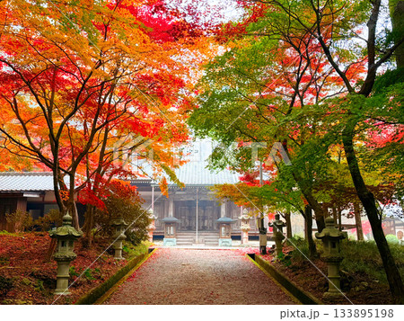 兵庫県西脇市・西林寺の紅葉に包まれた参道 兵庫県西脇市・西林寺の紅葉に包まれた参道 133895198