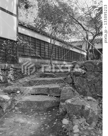 モノクロ、秋の終わり、清水寺本坊庭園への石段 133895213