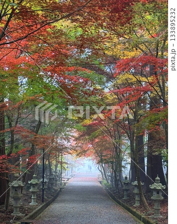 兵庫県西脇市・西林寺の見事な紅葉 133895232