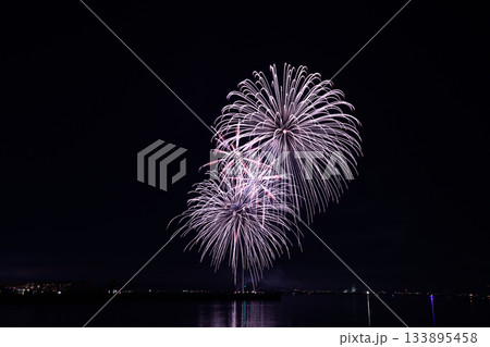 冬の宵を彩る花火 <花火甲子園2025> 冬の宵を彩る花火 <花火甲子園2025> 133895458