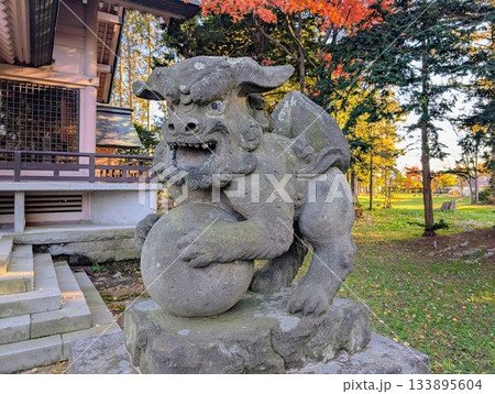 狛犬 狛犬 133895604