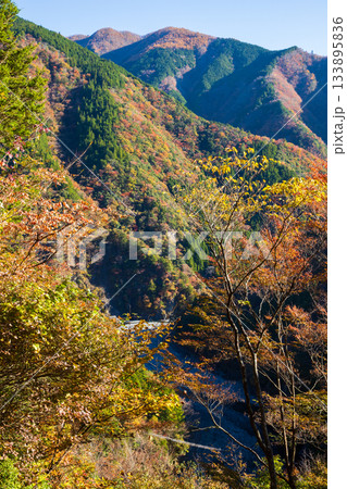 紅葉の寸又峡 紅葉の寸又峡 133895836