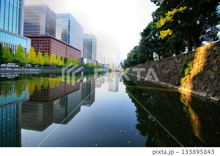 『一丁倫敦』と称された街並みが『江戸城』の前に建ち並ぶ… 【馬場先濠】と日比谷通りの銀杏並木 133895843