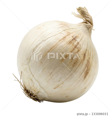 Single fresh whole white onion, raw vegetable food ingredient full of natural pungent flavor for healthy cooking 133896031