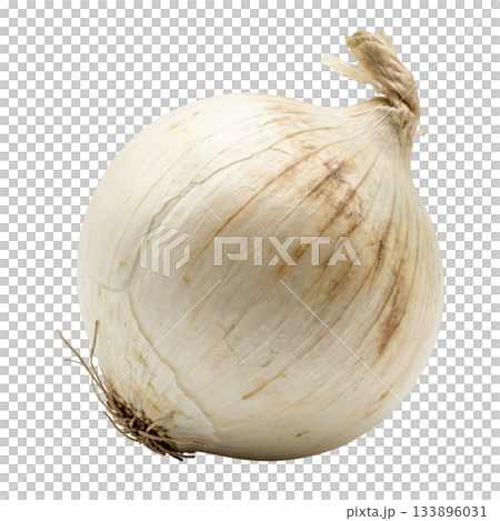 Single fresh whole white onion, raw vegetable food ingredient full of natural pungent flavor for healthy cooking 133896031