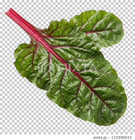 Single fresh green chard leaf with red stem. Healthy organic vegetable full of vibrant, natural nutrition 133896033