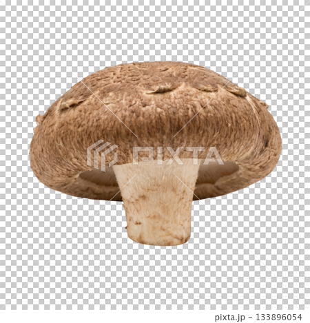 Fresh brown cremini mushroom, healthy organic food ingredient for cooking. single natural vegetable Fresh brown cremini mushroom, healthy organic food ingredient for cooking. single natural vegetable 133896054