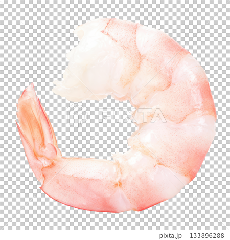 Delicious cooked and peeled pink shrimp prawn. fresh seafood food ingredient for healthy appetizer meal 133896288