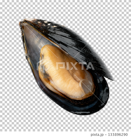 Fresh open mussel, single piece of shellfish food. An appetizing seafood delicacy ready for gourmet meal 133896290