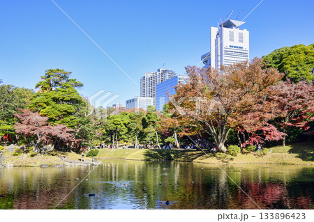 東京都 小石川後楽園 大泉水周辺 紅葉の風景 国の特別史跡 東京都 小石川後楽園 大泉水周辺 紅葉の風景 国の特別史跡 133896423